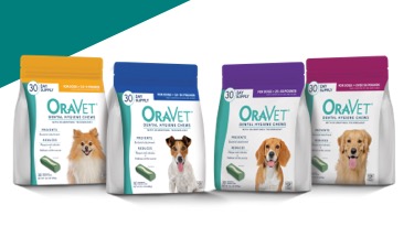 Oravet large hot sale dog